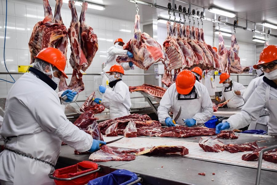 Argentina reabrió el mercado japonés a la carne fresca aviar, ovoproductos y subproductos