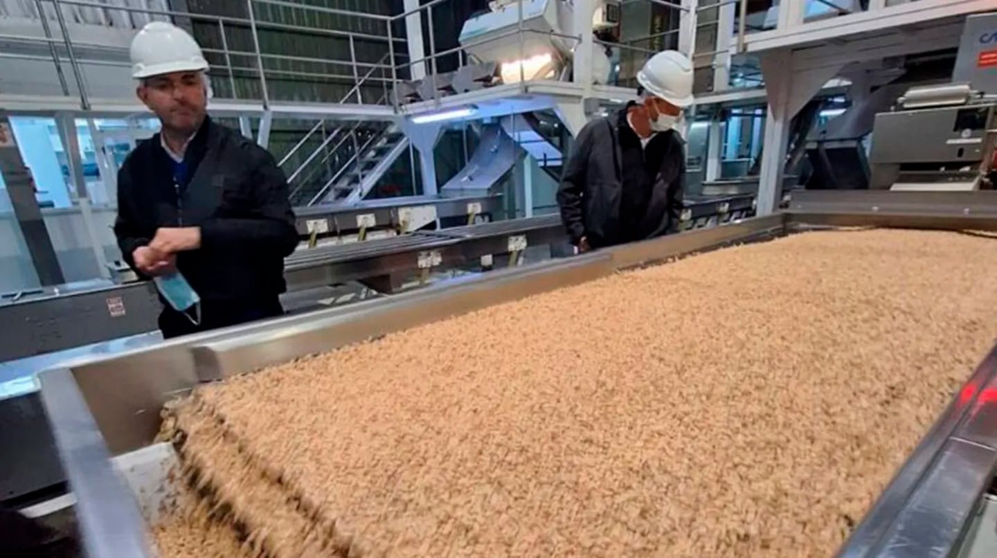 La mayoría de las economías regionales terminaron “en crisis” el 2023: solo se salvan la yerba mate y el maní