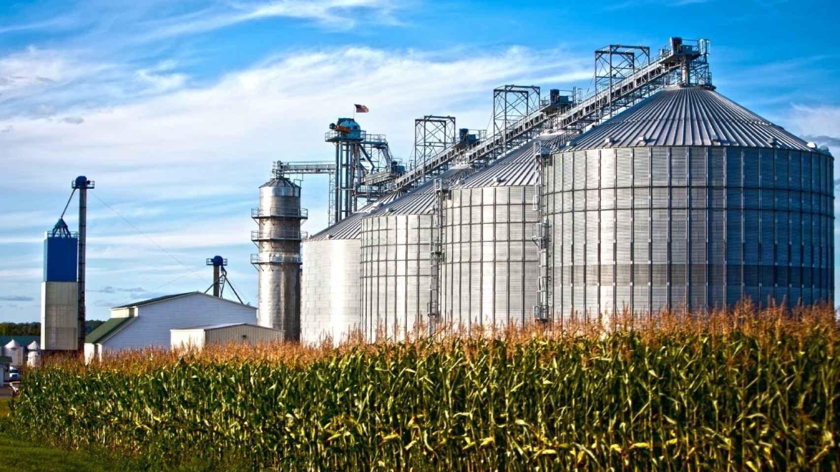 Biocombustibles: la estrategia económica para el agro en 2024