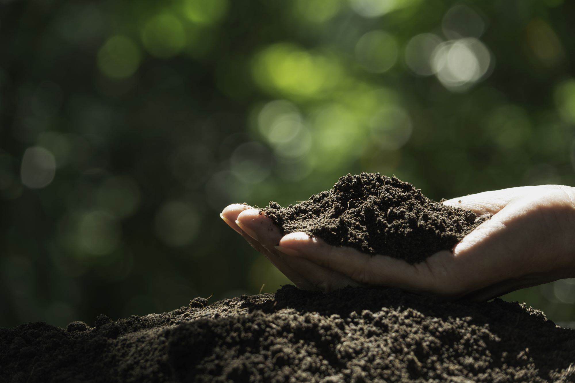 La agricultura regenerativa, clave en la solución ante el cambio climático
