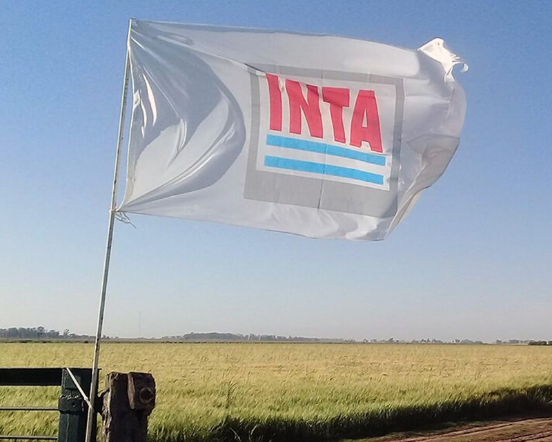 Agronea 2021: INTA dictará seminarios, charlas y conferencias gratuitas