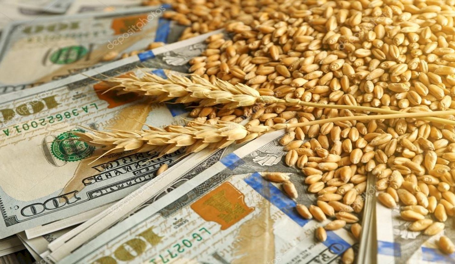 4 Cadenas: Reunión por impacto del Programa Dólar Agro sobre los mercados de futuros
