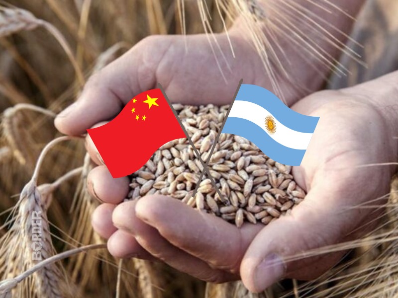Argentina podría volver a exportar trigo a China