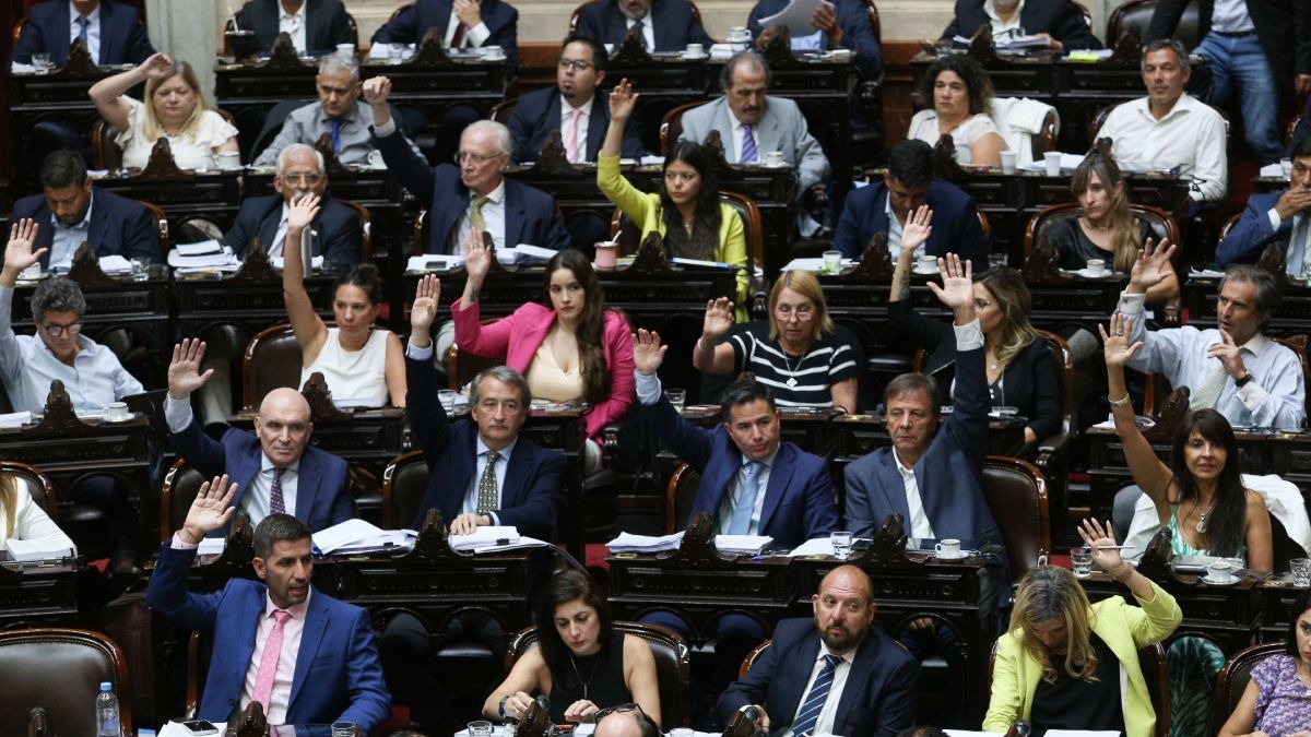 El Consejo Agroindustrial y la marcha atrás de la Ley Ómnibus: “Hay que avanzar con las reformas”