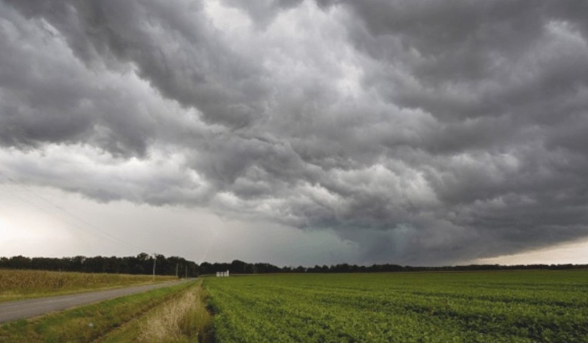 Regresan las lluvias a la región pampeana: un respiro para la soja en momentos críticos