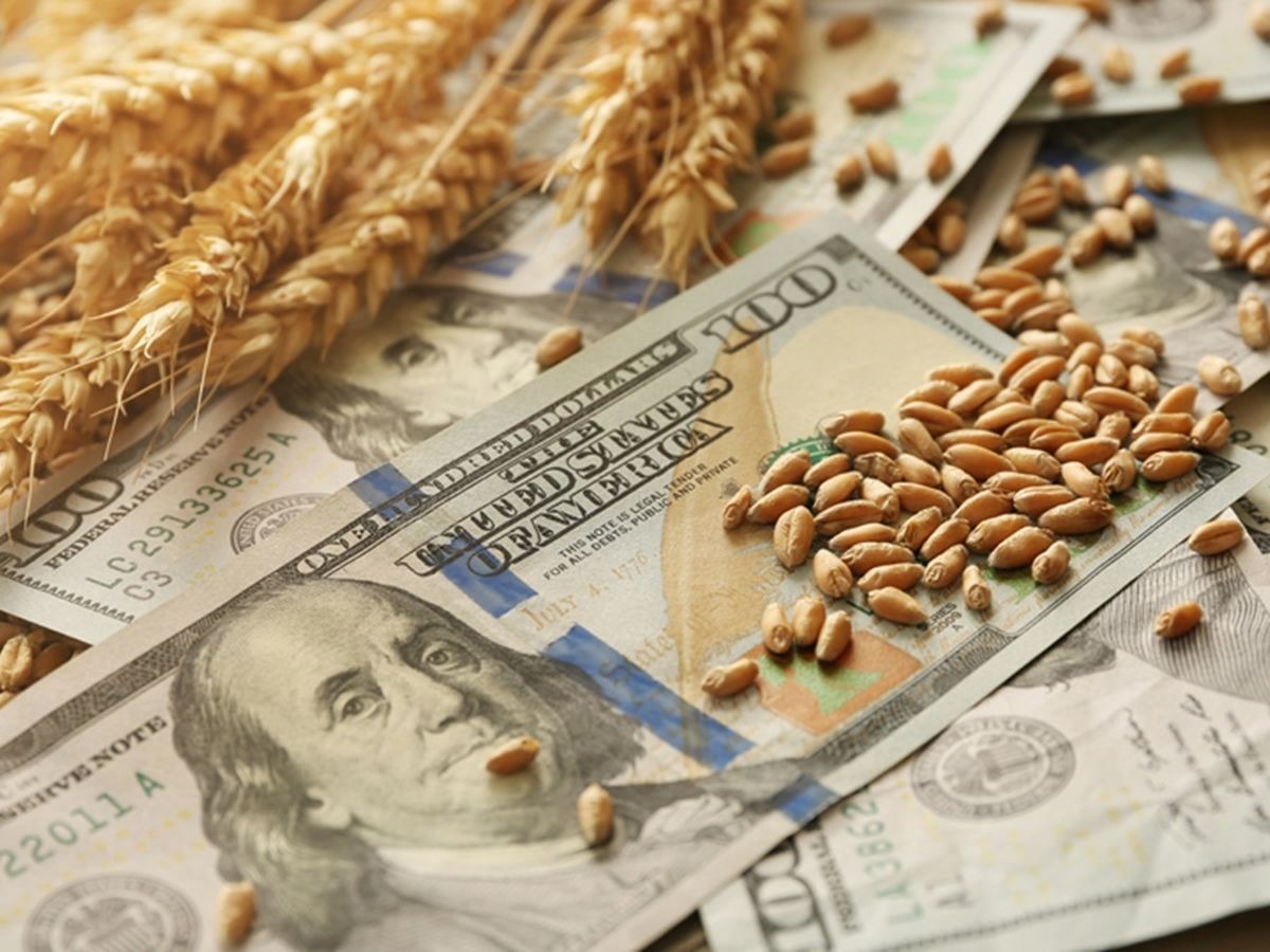 Una cosecha que finalmente no sería tan amplia como se esperaba y la caída de los precios internacionales, conspiran contra las necesidades económicas del país