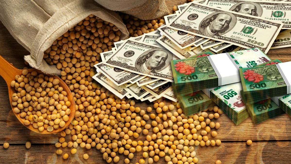 El BCRA dispuso eliminar la limitación para acceder al mercado a empresas que accedieron al denominado "dólar soja"