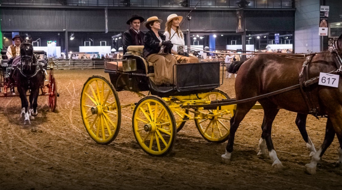 Se viene el fin de semana en "Nuestros Caballos" en La Rural