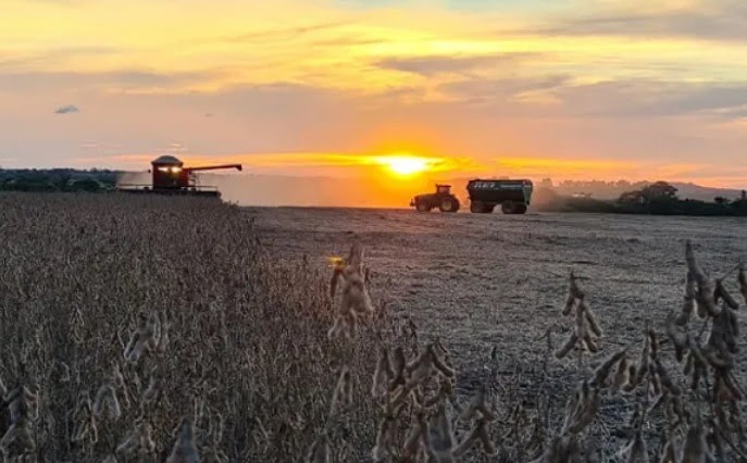 Tras el rechazo del DNU, la agroindustria pide un “horizonte claro para el país”