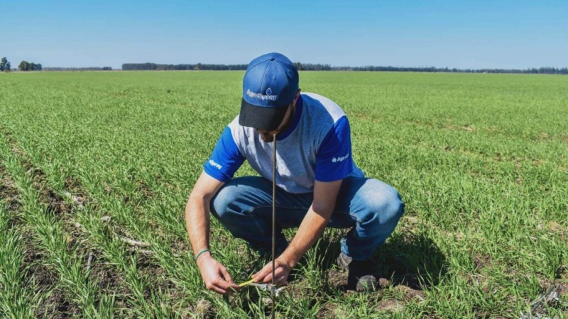 Algunas señales económicas como la baja en la tasa de interés y la confianza en la gestión del presidente Javier Milei marcan un buen ánimo en el sector agropecuario