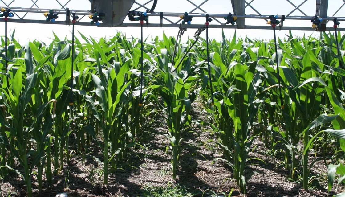 El uso de fertilizantes cayó 4% en 2023, pero en la industria mantienen el optimismo de cara a lo que viene