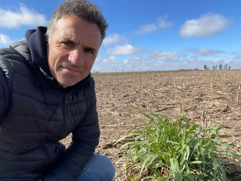 Ioele: "De maíz de primera a los sembrados en septiembre viene rápido y furioso, la cosecha viene muy bien"
