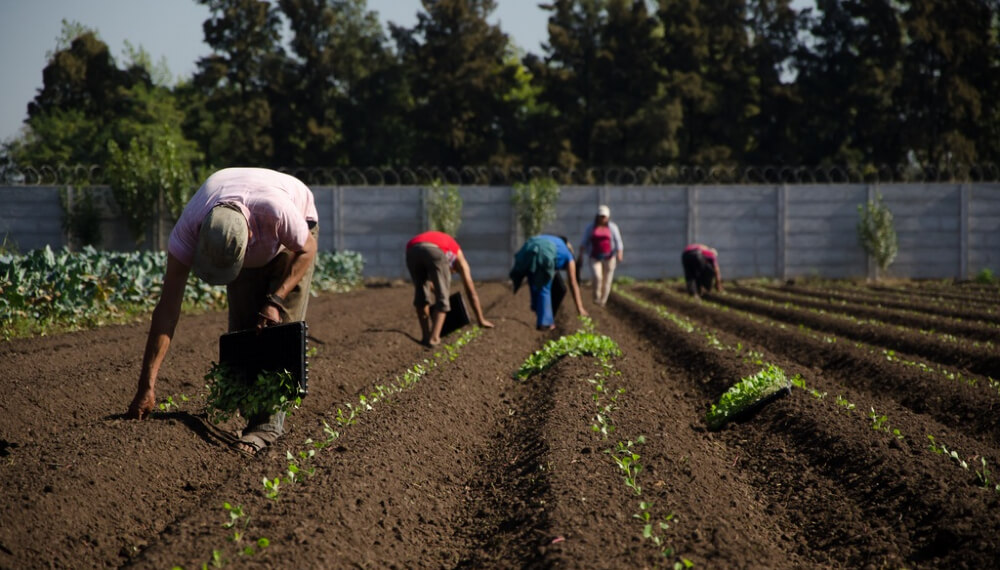 El Gobierno oficializó la intervención del Instituto de Agricultura Familiar, Campesina e Indígena