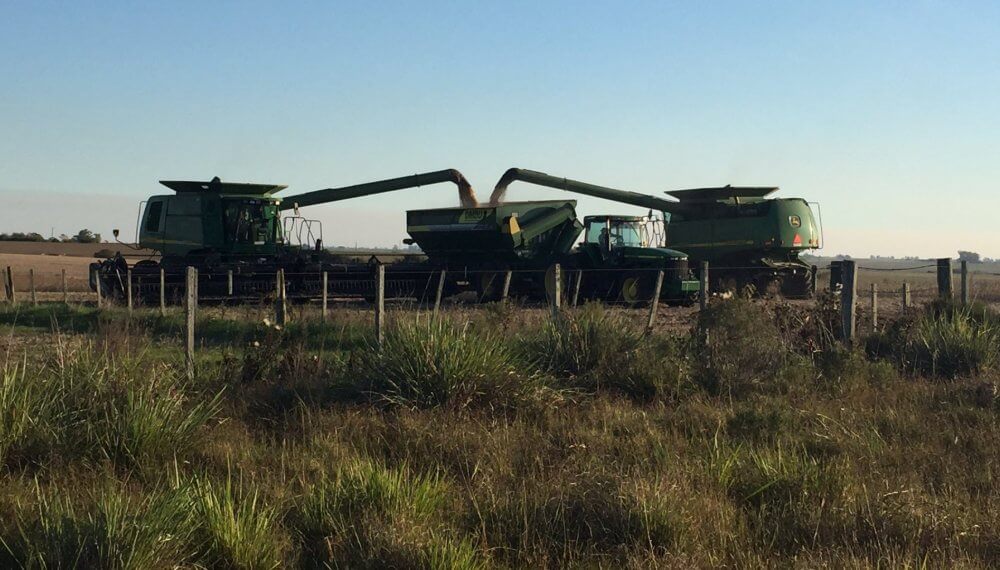 Desde el INTA Oliveros recomiendan reducir el tránsito en el lote con una estrategia novedosa para minimizar la compactación