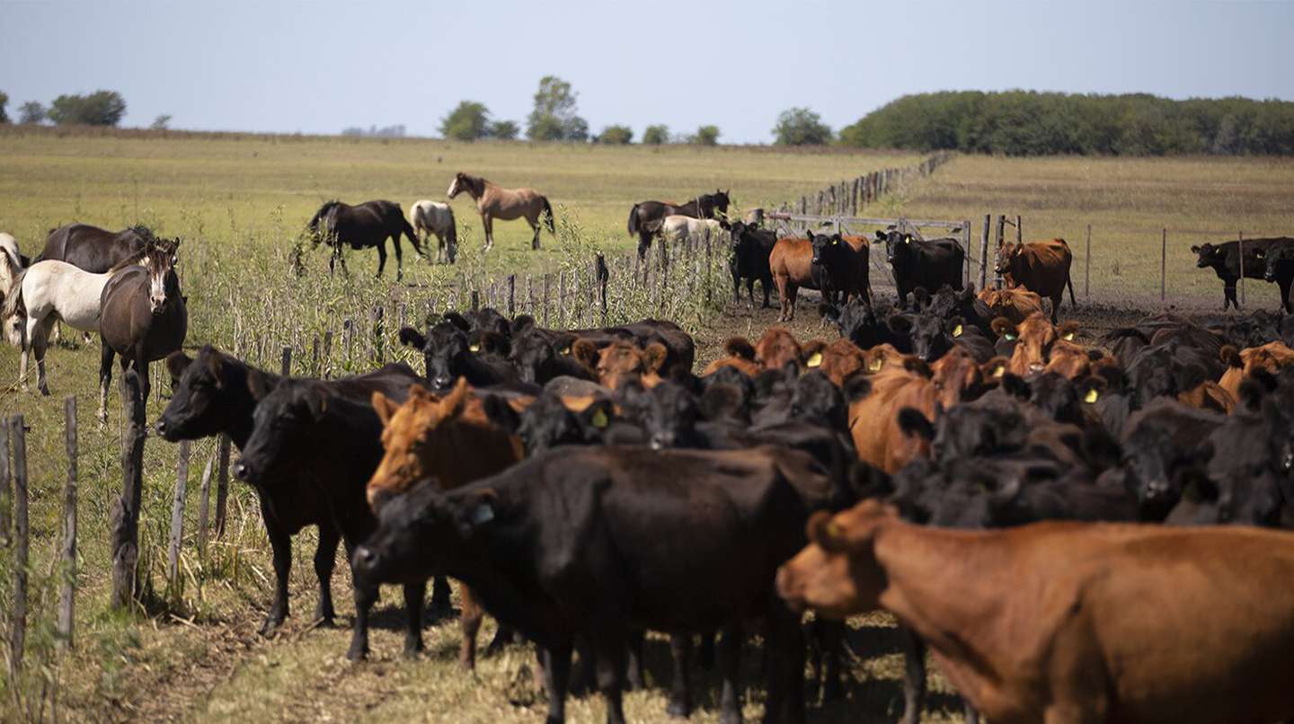 Otro portazo: CRA abandonó la Mesa de las Carnes