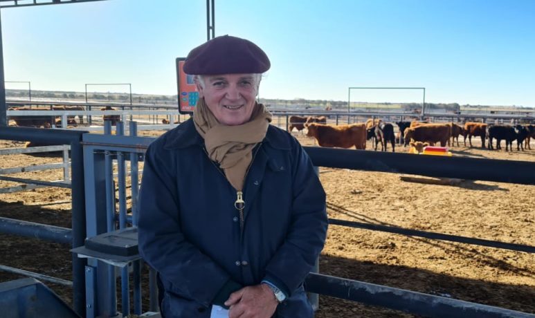 Angus de otoño será una vitrina para cerca de "50.000 animales para comercializar y un centro de aprendizaje con "capacitaciones técnicas de sanidad y reproducción bovina".