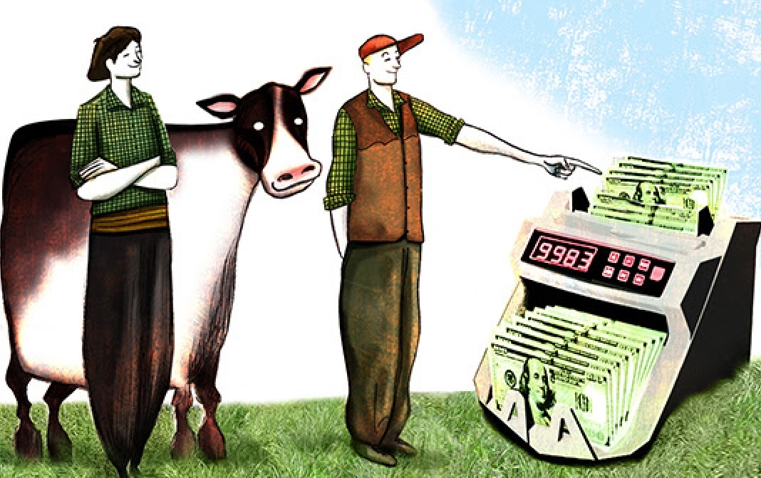 Cría-recría vs. recría-feedlot ¿Quién da más?