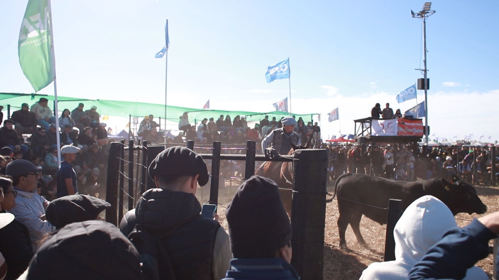 Agronea 2024: Ganadería, análisis económico y ciberseguridad, sobresalieron en otra exitosa jornada