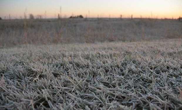 Este invierno se encamina a ser el segundo más frío de los últimos 60 años