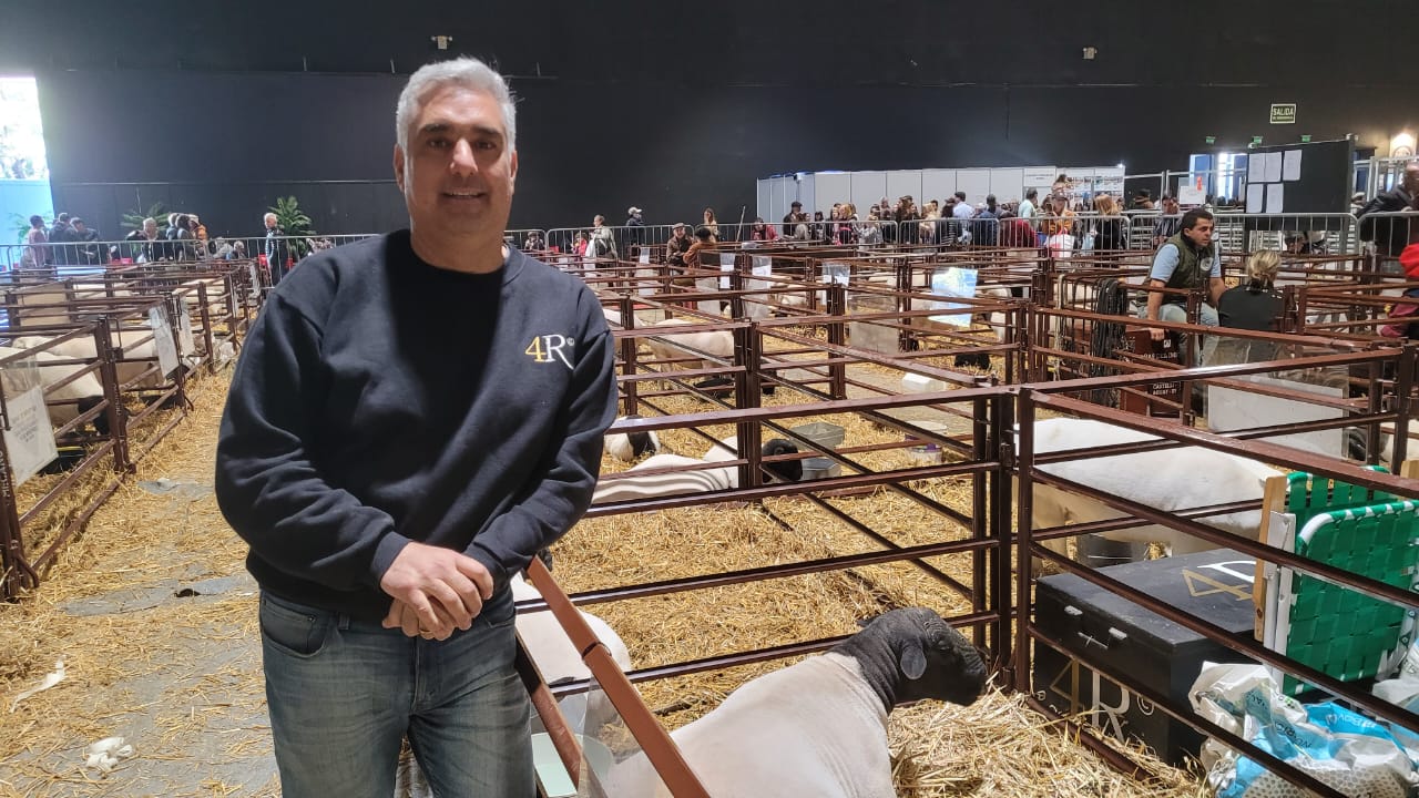 Franco Michelli con "Cuatro reinas" presenta la raza Dorper en la Rural
