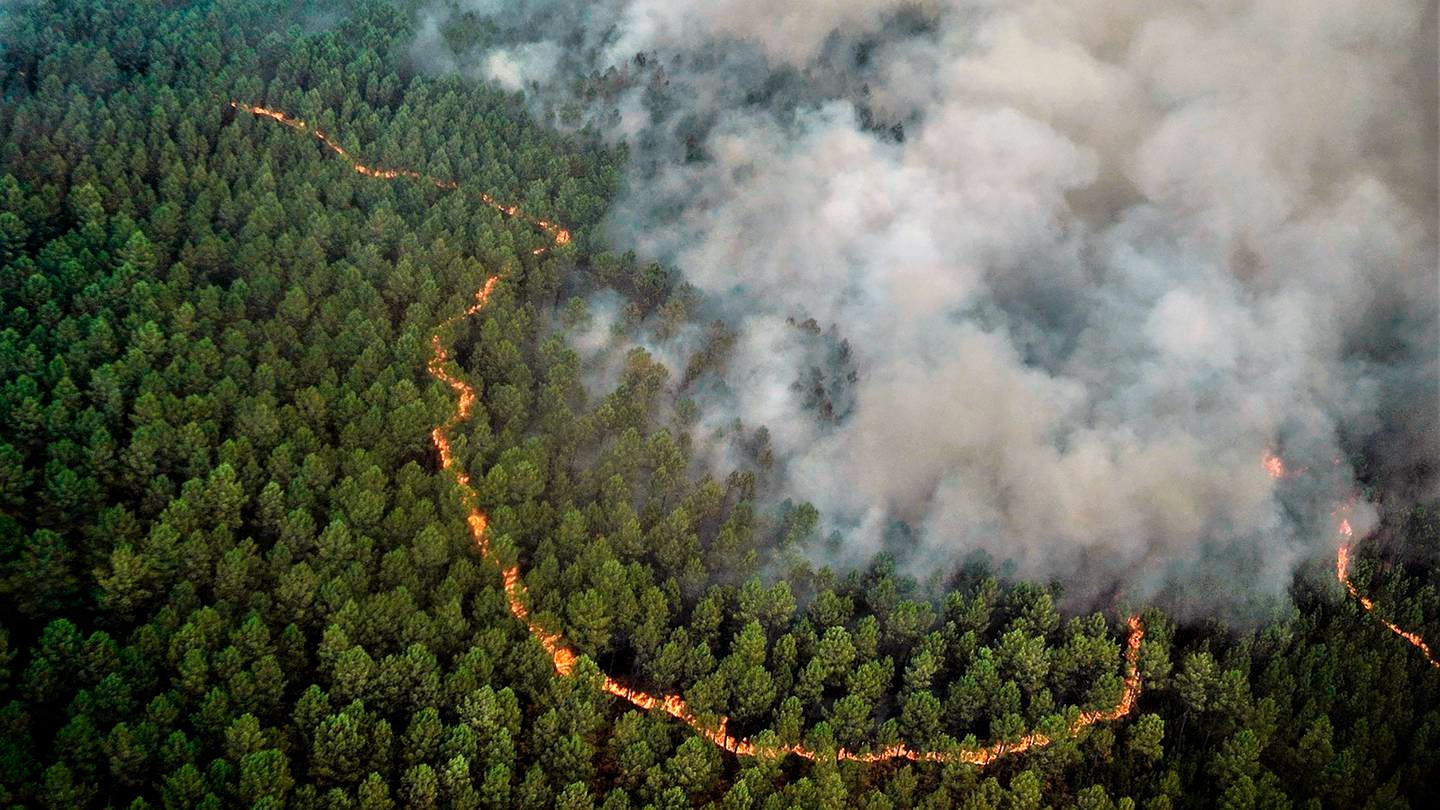 Los incendios forestales continúan ardiendo en Europa en plena ola de calor