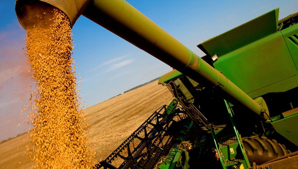 Pese a la cosecha y a los récords del campo, se tuvo que importar un 20% de la molienda