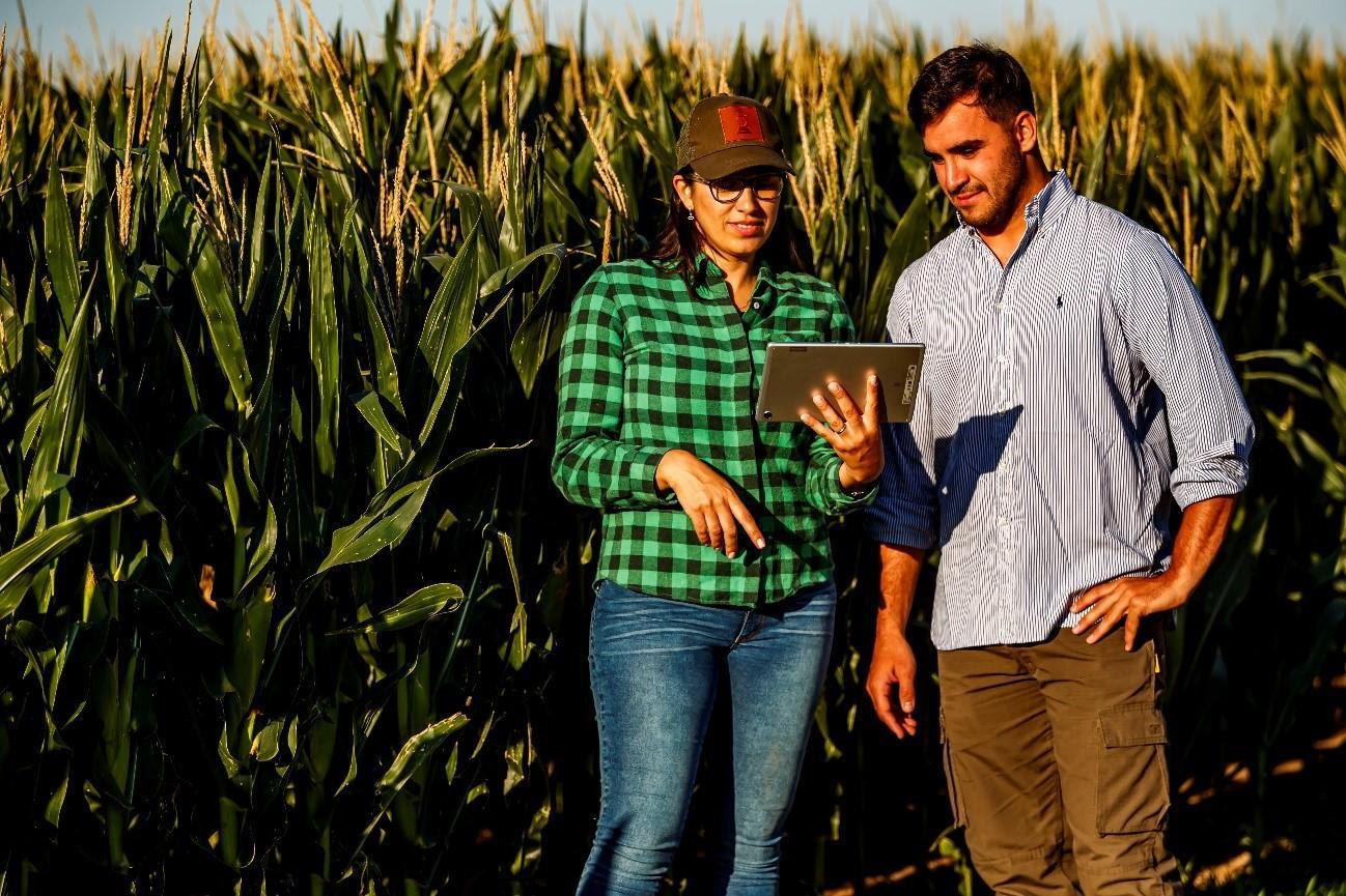 La producción de maíz, pensada a largo plazo