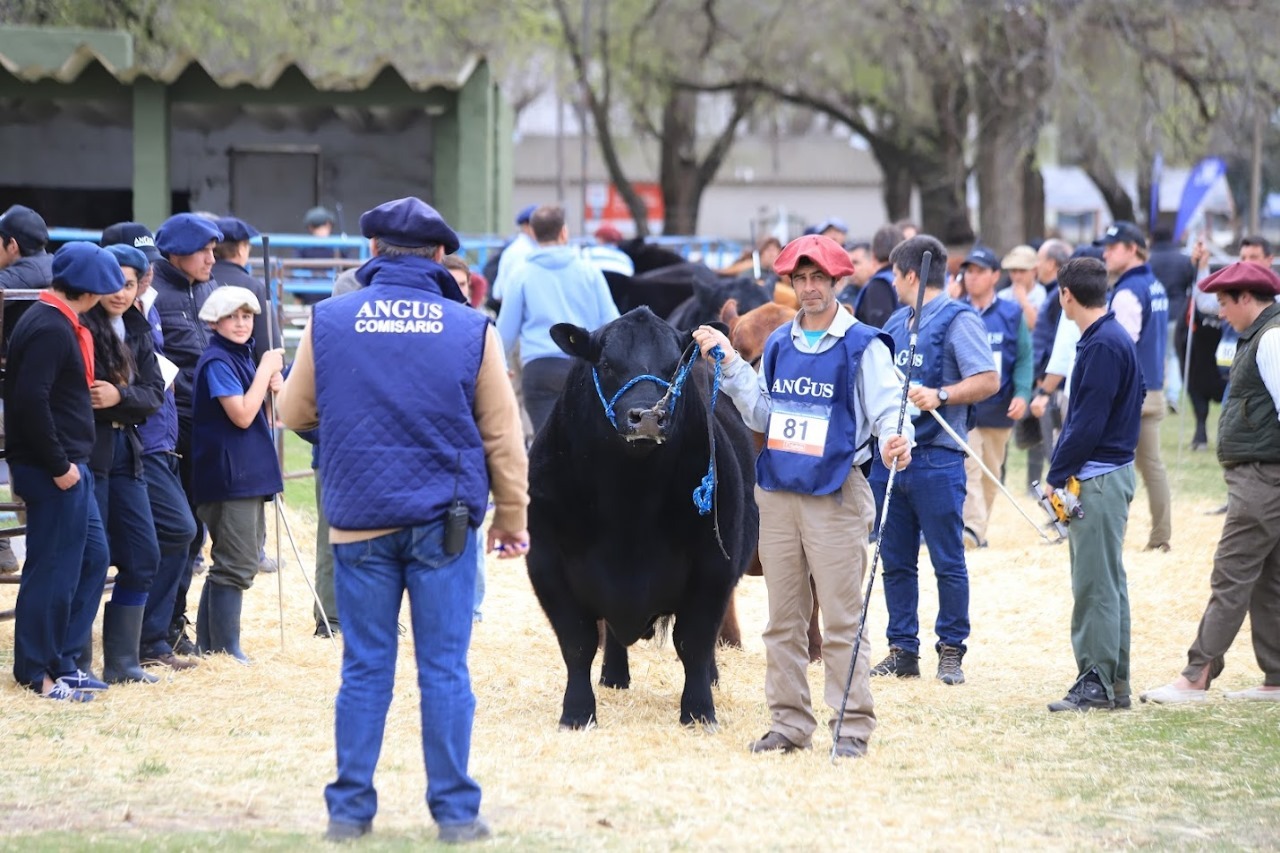 En Septiembre vivimos la semana Angus con el estreno de su nuevo Centro de Remates y Exposiciones