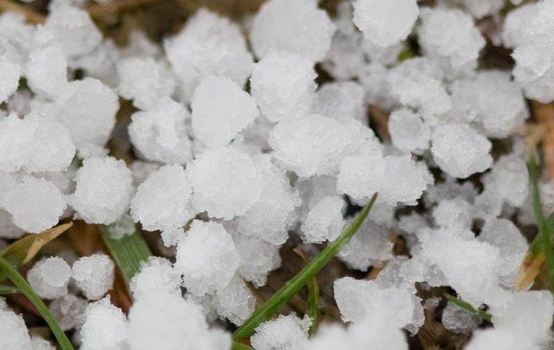 Lluvias insuficientes y pronóstico incierto generan incertidumbre en la región núcleo