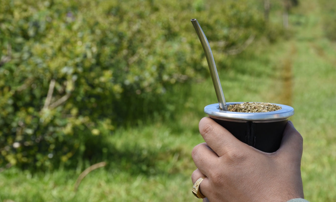 La AFIP elimina trabas en la comercialización y producción de la yerba mate