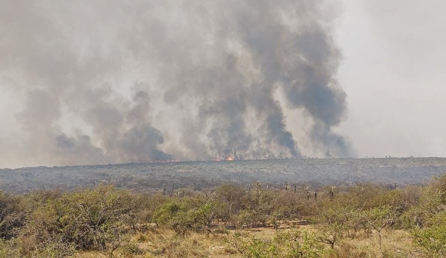 Incendio: estado de situación en la provincia