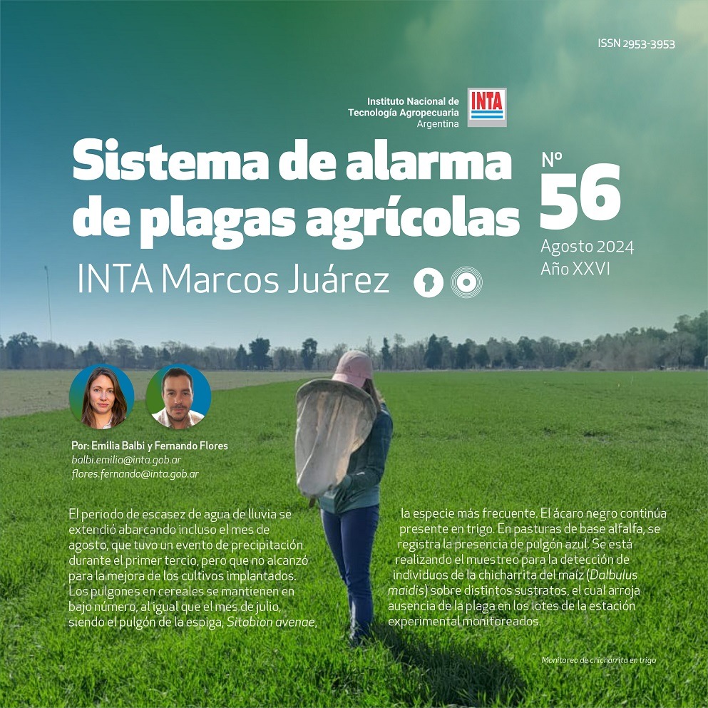 Chicharrita, pulgones y ácaros: novedades en el informe de alarma de plagas del INTA Marcos Juárez