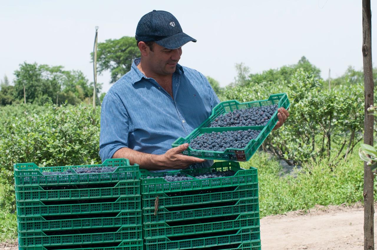 Los productores, protagonistas centrales de un campo limpio y sustentable