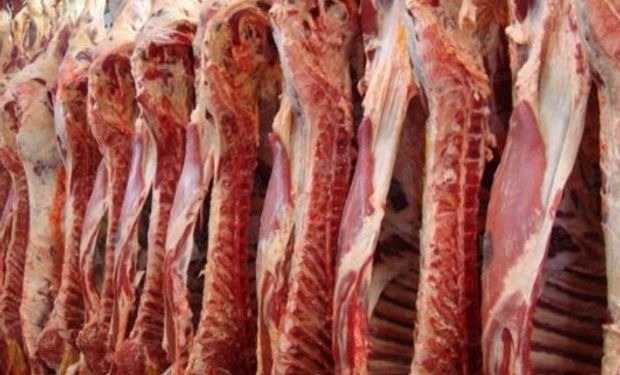 Carne : aumentó la exportación pero cayó el precio