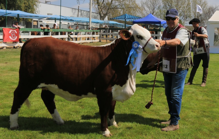 Proclamaron a los "Grandes Campeones" de la 77° Expo SRJM