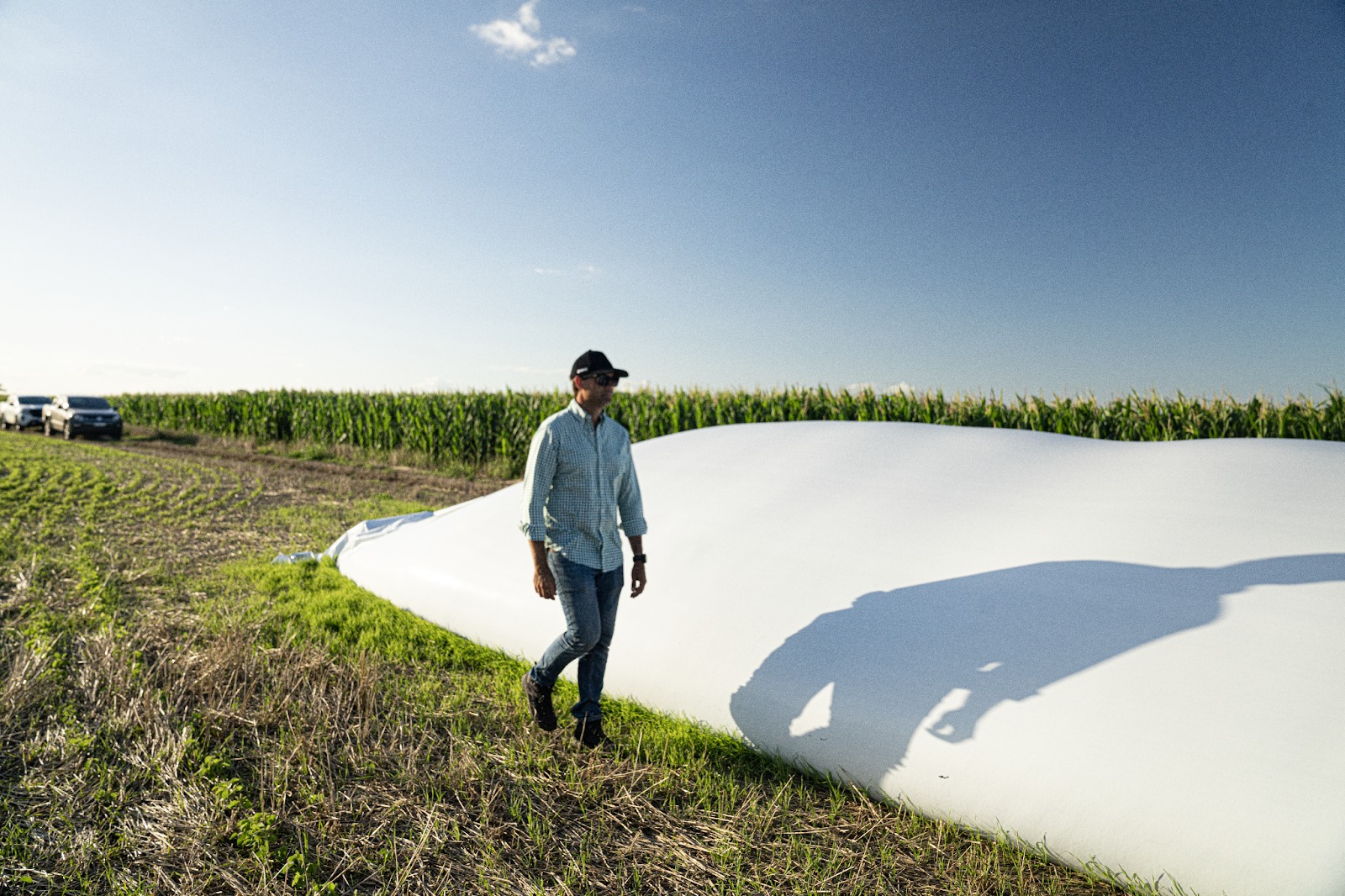 Vayamos al grano: La oportunidad de financiarse sin precio y definirlo cosecha en mano