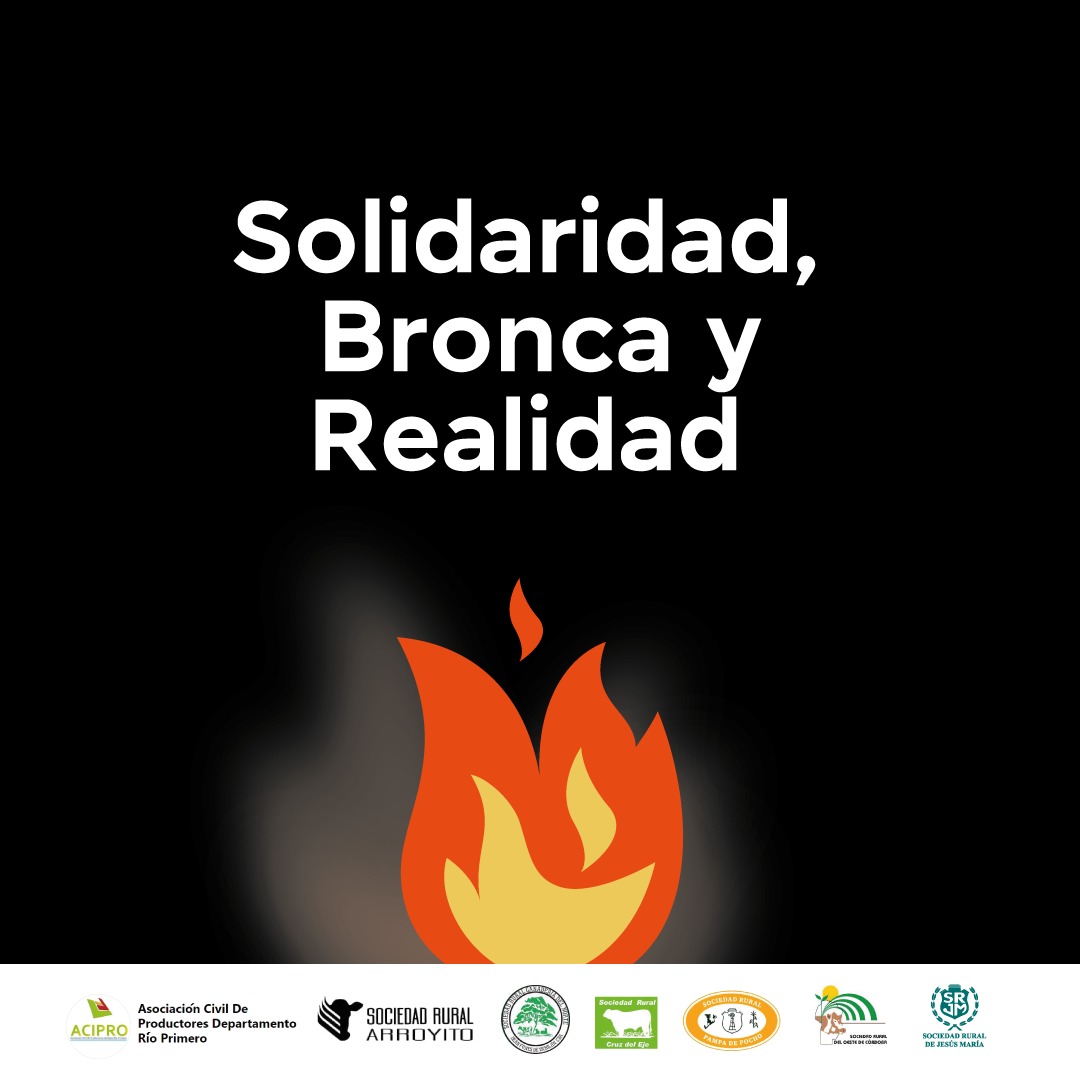 Solidaridad, bronca y realidad