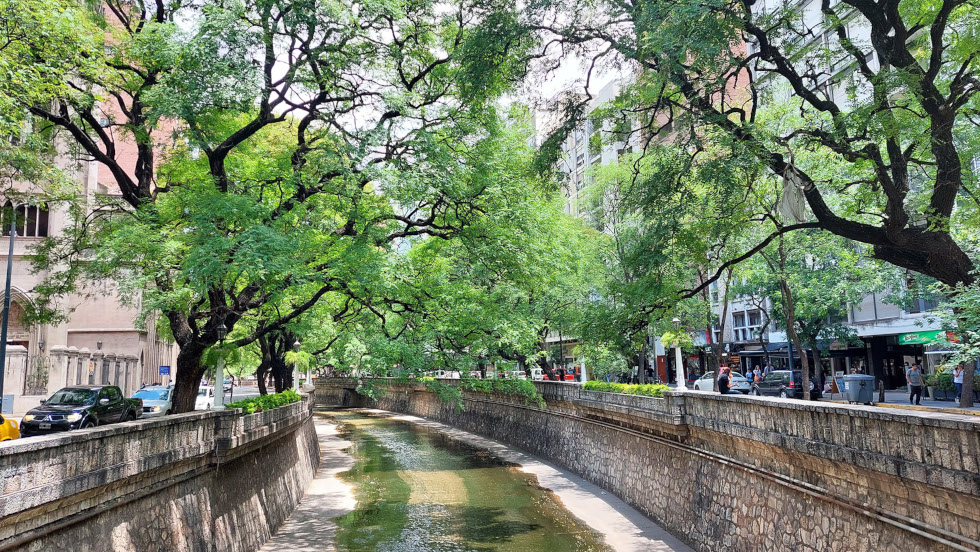 Este jueves comienza el VI Congreso Nacional de Arboricultura y Bosques Urbanos