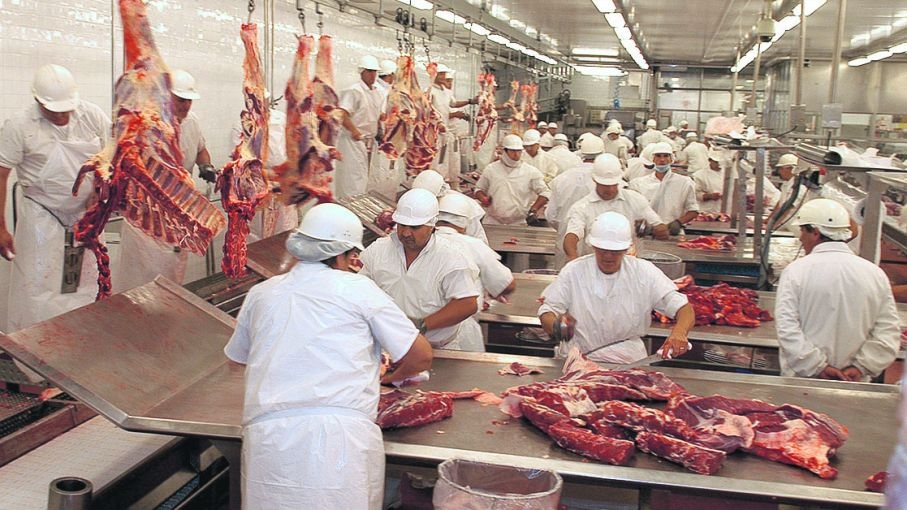 Crece el número diario de animales remitidos a faena durante septiembre