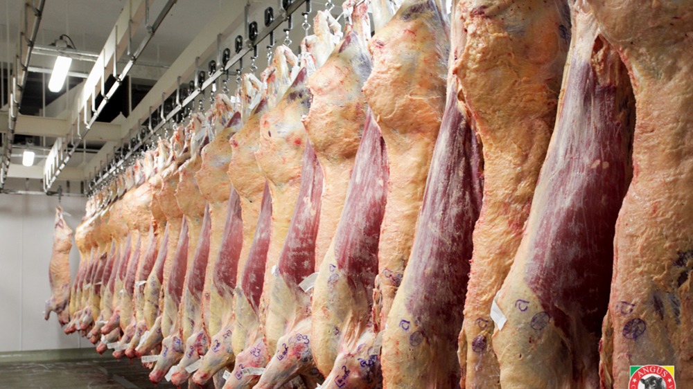 Consorcio ABC: la faena bovina entra al último trimestre con sus indicadores en baja