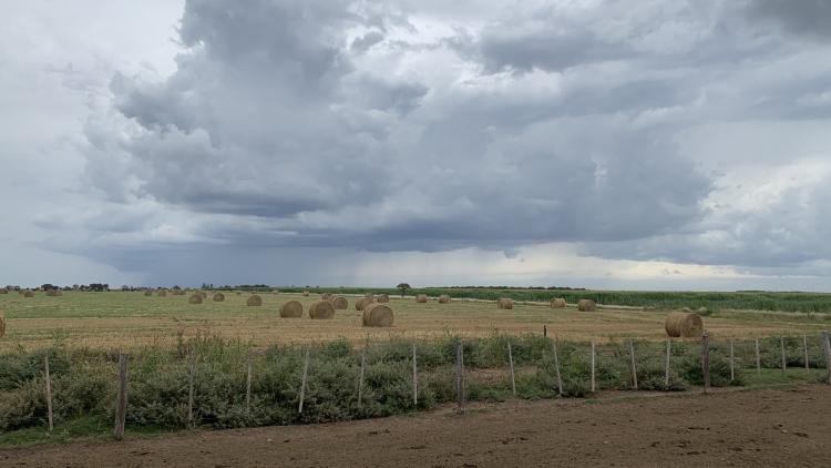 Intensas lluvias en la provincia de Córdoba: importantes registros acumulados en diversas localidades