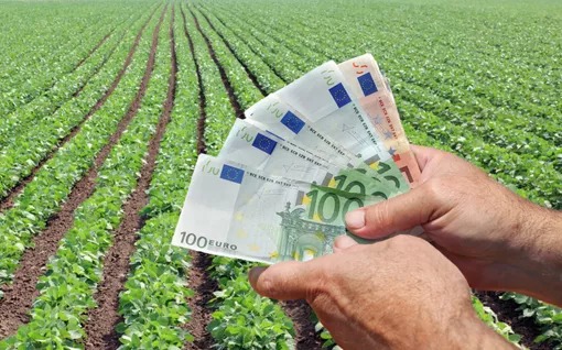 Negocio agrícola: A nivel internacional, el factor más determinante en el mercado actual de granos es la evolución del clima en Sudamérica, especialmente en Brasil.