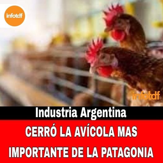 Cerró la avícola Elepeve, la más importante de la Patagonia