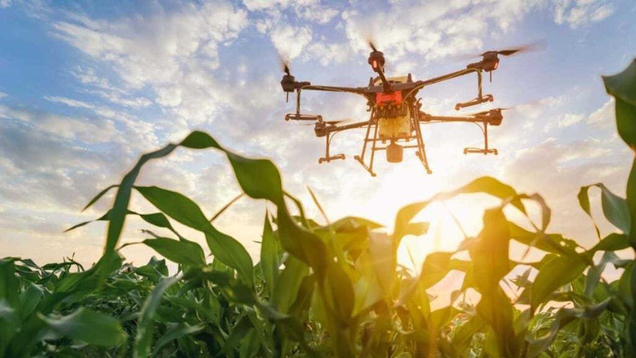 Agtech: la Bolsa y el BID se unen para impulsar una inversión de casi 2 millones de dólares