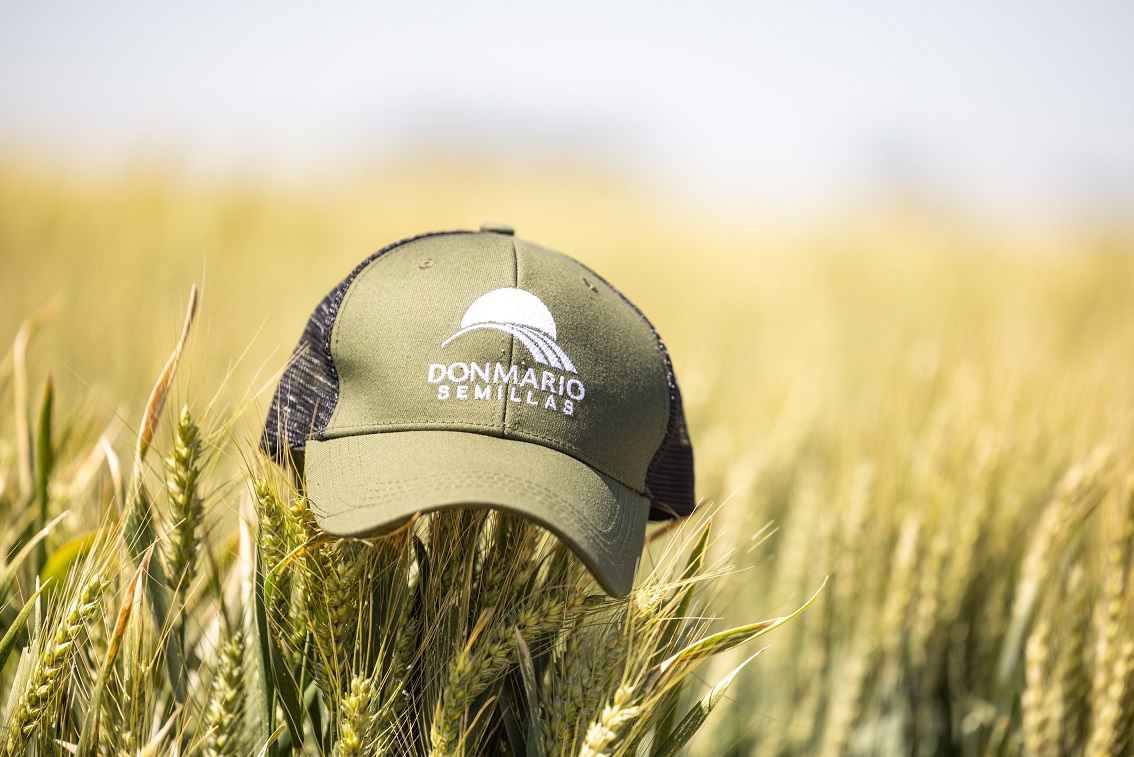 Donmariomás Trigo 2024: Claves para llevar la productividad al próximo nivel