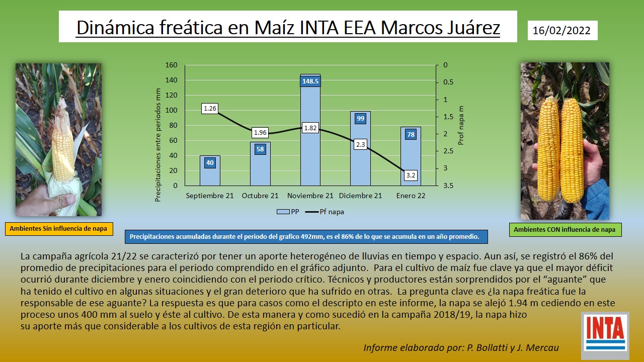 "La napa hizo su aporte más que considerable a los cultivos de esta región en particular", y fue clave para el maíz