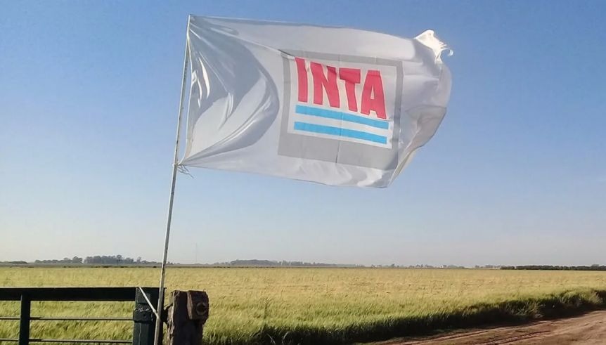 INTA: no se aprobó el plan del Gobierno y siguen las negociaciones