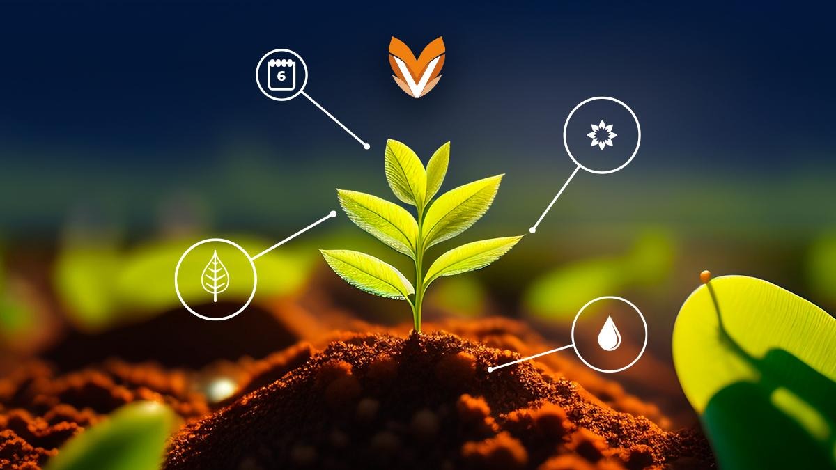 Lo esencial es invisible a los ojos: Fertilizando las buenas prácticas agrícolas