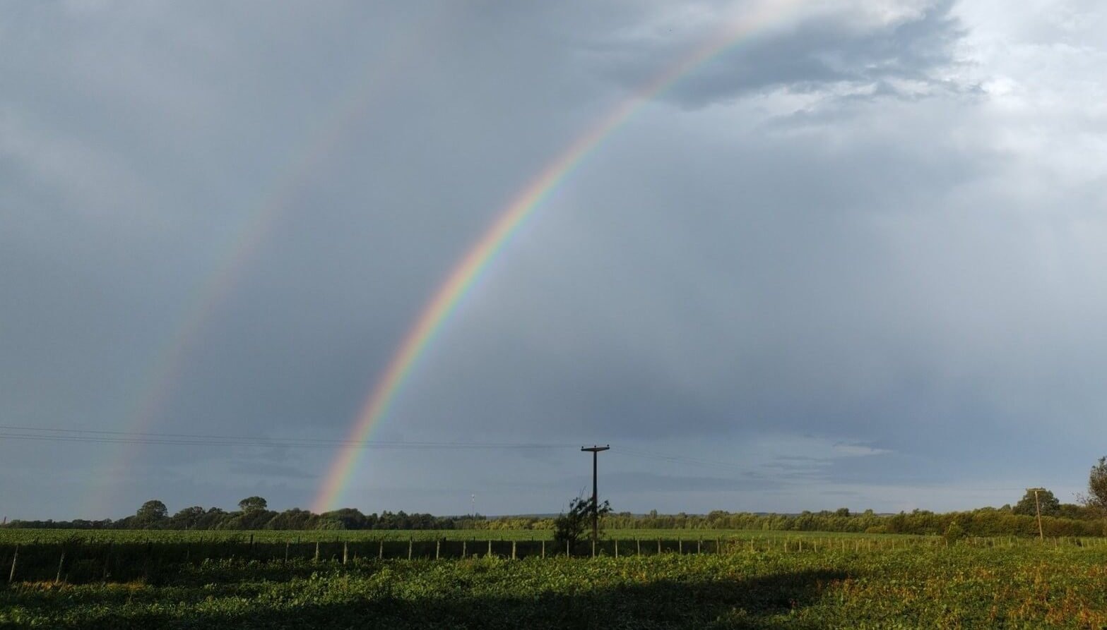 Primavera 2024: lluvias por encima de la media y con 80 mm más que en el 2023