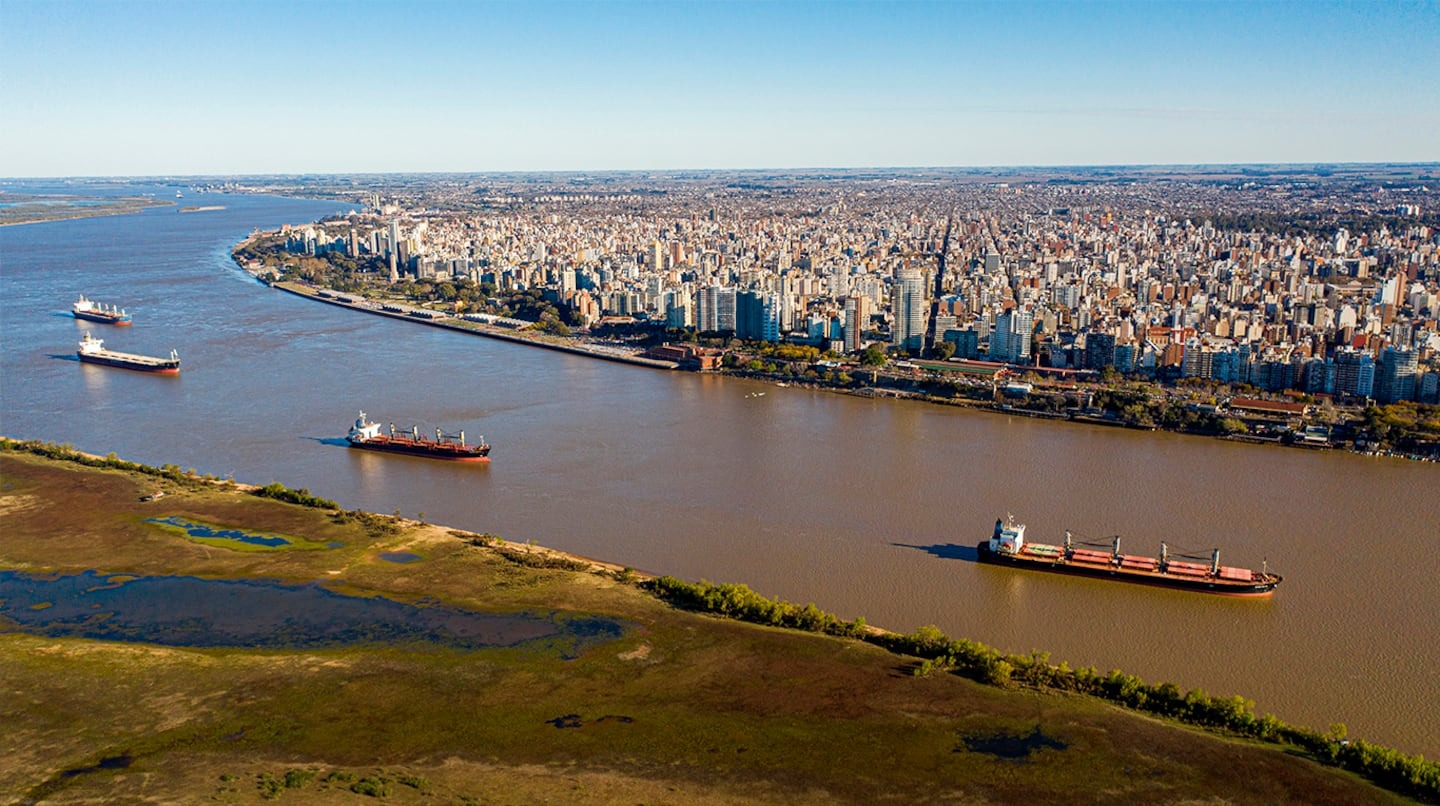 Los dólares del campo aumentaron 27% en 2024 y superaron los US$25 mil millones